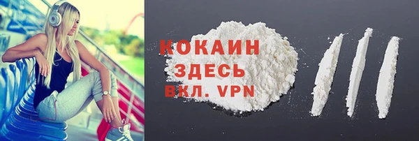 соль курить ск Новодвинск