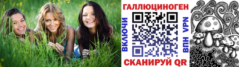 где найти наркотики  Сысерть  Псилоцибиновые грибы Magic Shrooms 